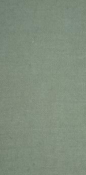 Duck egg 487